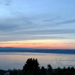 Les Vies En Rose Évian-les-Bains